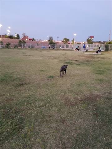 Argal Dog Park