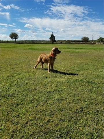 Montwood Heights Park