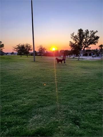 Francisco Delgado Park